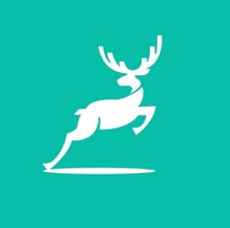 company image