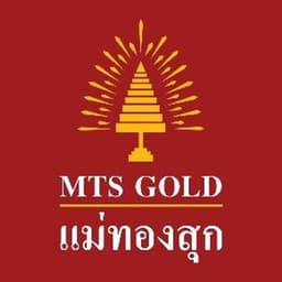 company image