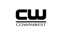 company image