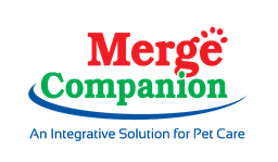 company image