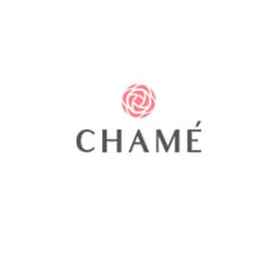 company image