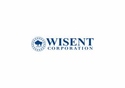 company image